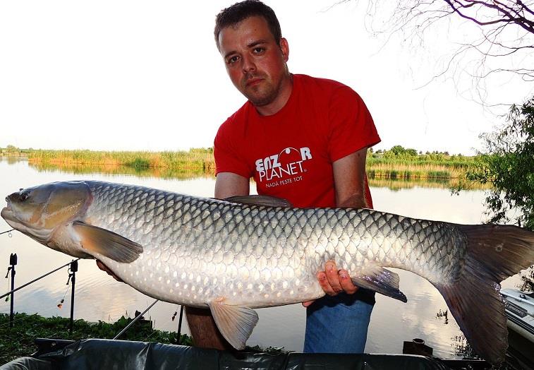 Cel mai bun raport calitate - pret la nada de crap? Senzor vinde Amix 3kg la doar 19 lei in 11 arome.